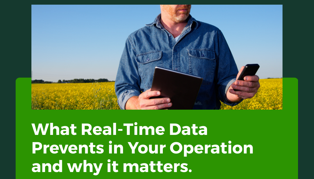 What Real-Time Data Actually Prevents - Donkerhoek Data